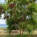 Apartment Kalamies - Secluded Skala (Kefalonia)