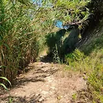 Kalamies - Secluded Skala (Kefalonia)