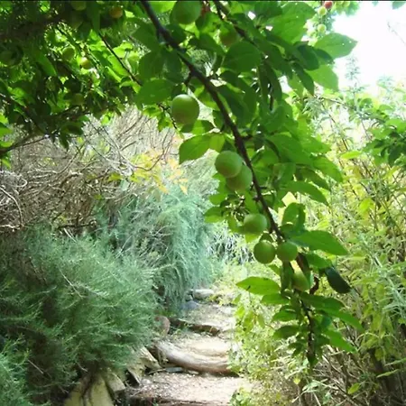 Kalamies - Secluded Appartement *