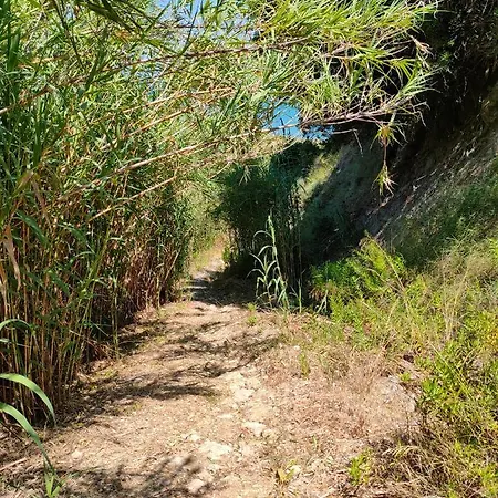 Kalamies - Secluded Skala (Kefalonia)