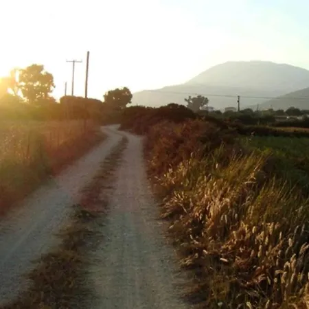 Kalamies - Secluded * Skala (Kefalonia)