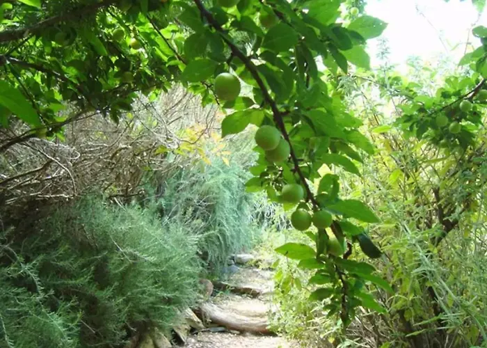 Kalamies - Secluded Appartement *