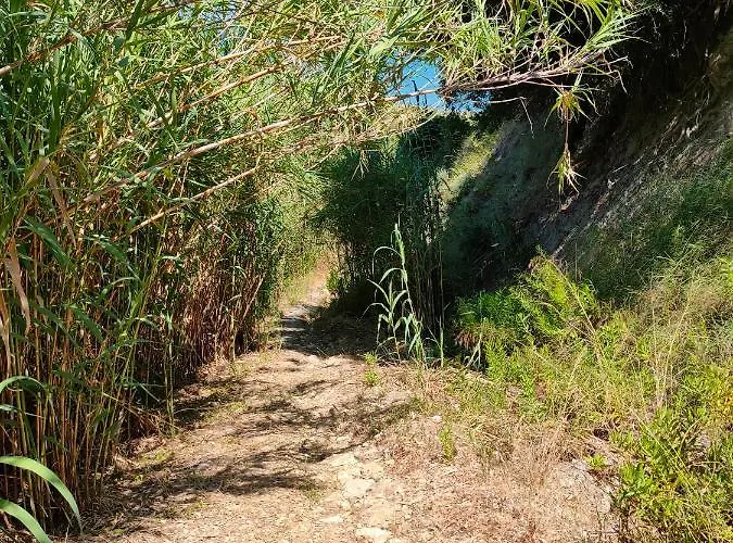 Kalamies - Secluded Skala (Kefalonia)