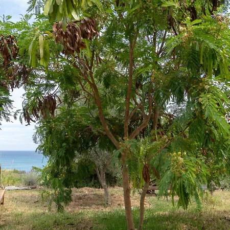 Apartmán Kalamies - Secluded Skala (Kefalonia)
